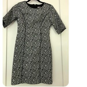 J crew black white leopard print dress